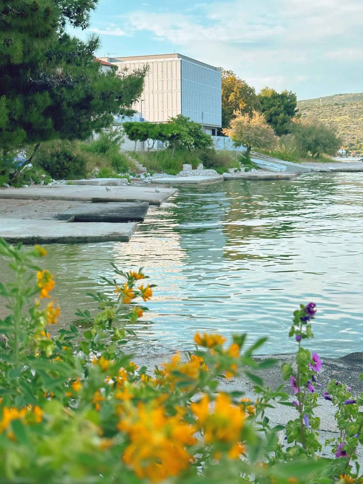 Cvijeće uz plažu, Rogoznica
